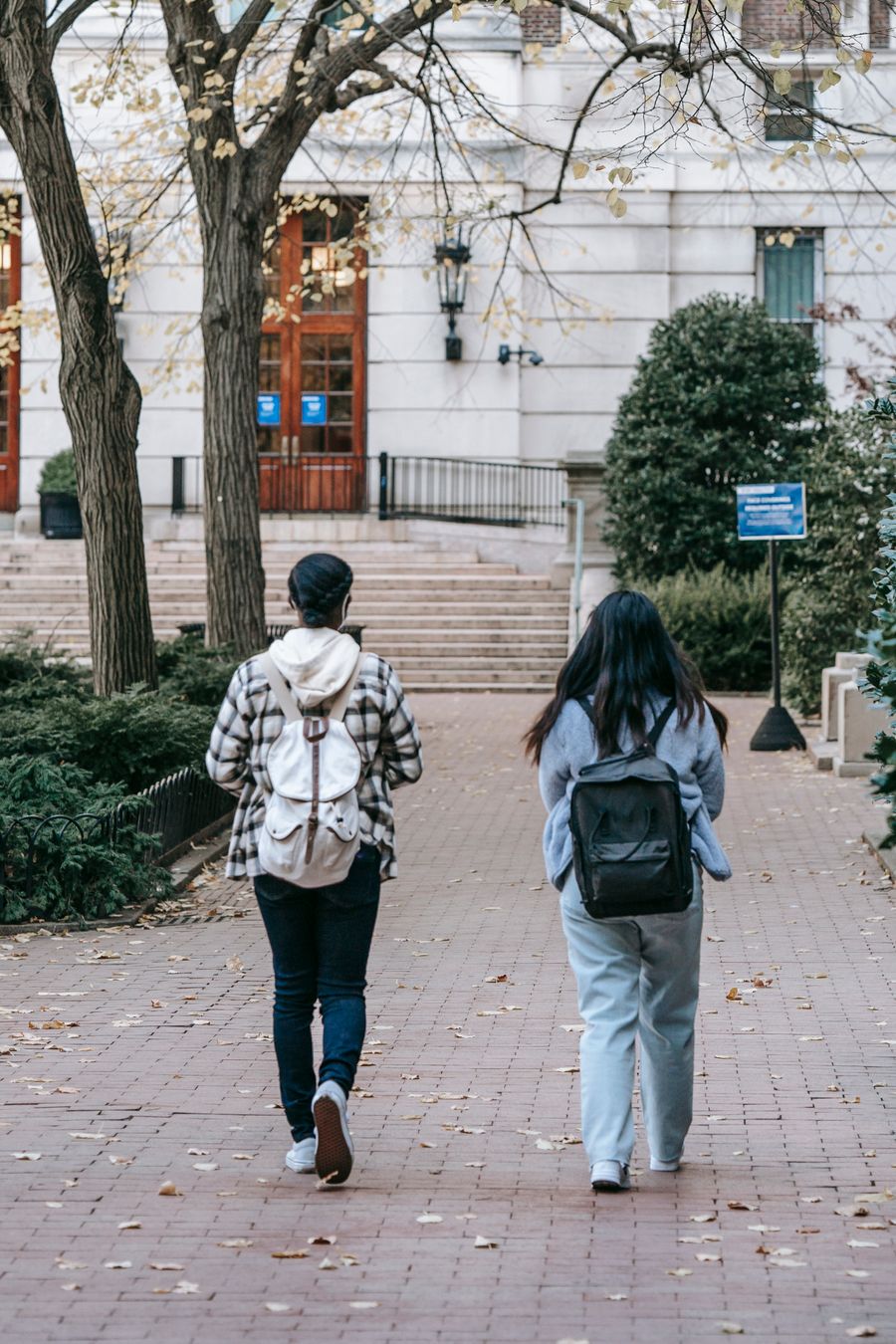 不同学段学生，校园林荫小径